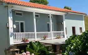 Casa la palmera